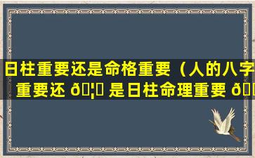 日柱重要还是命格重要（人的八字重要还 🦈 是日柱命理重要 🐈 ）